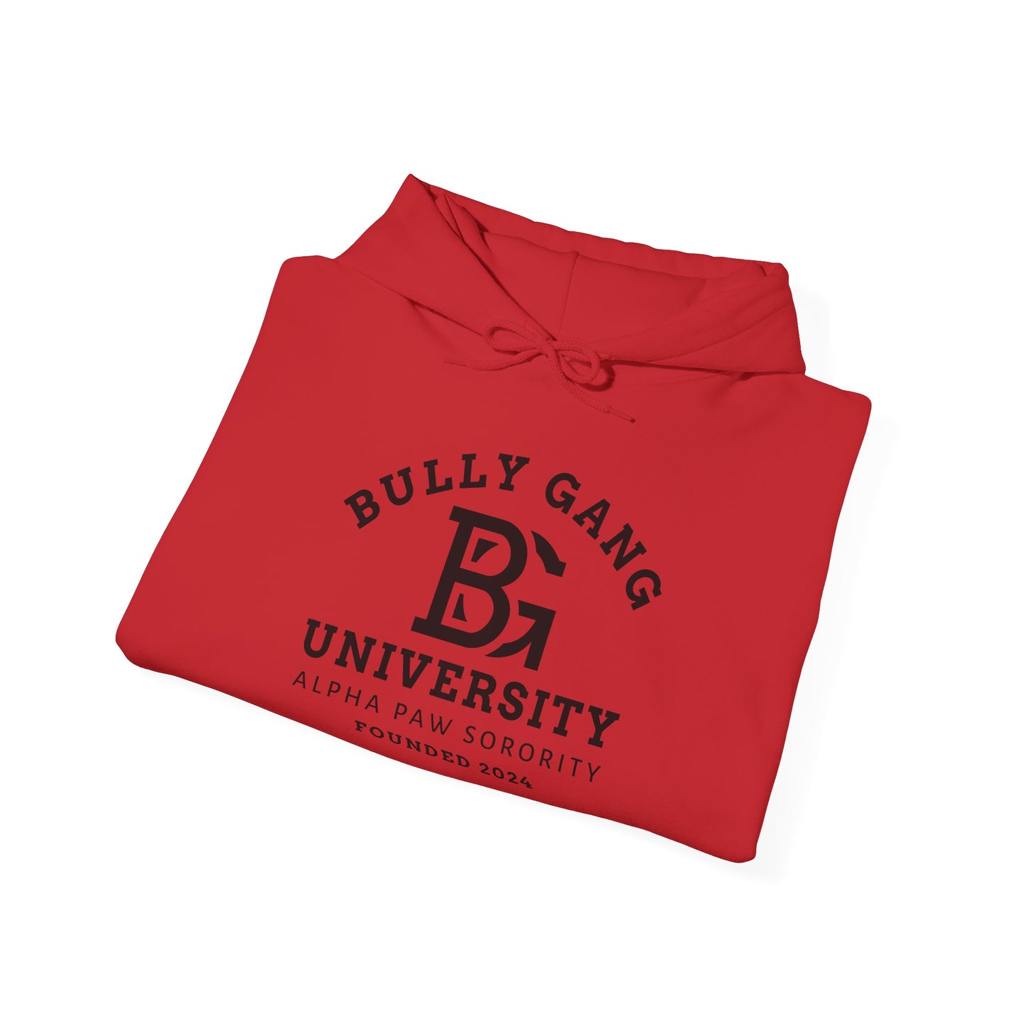 Bully Gang University