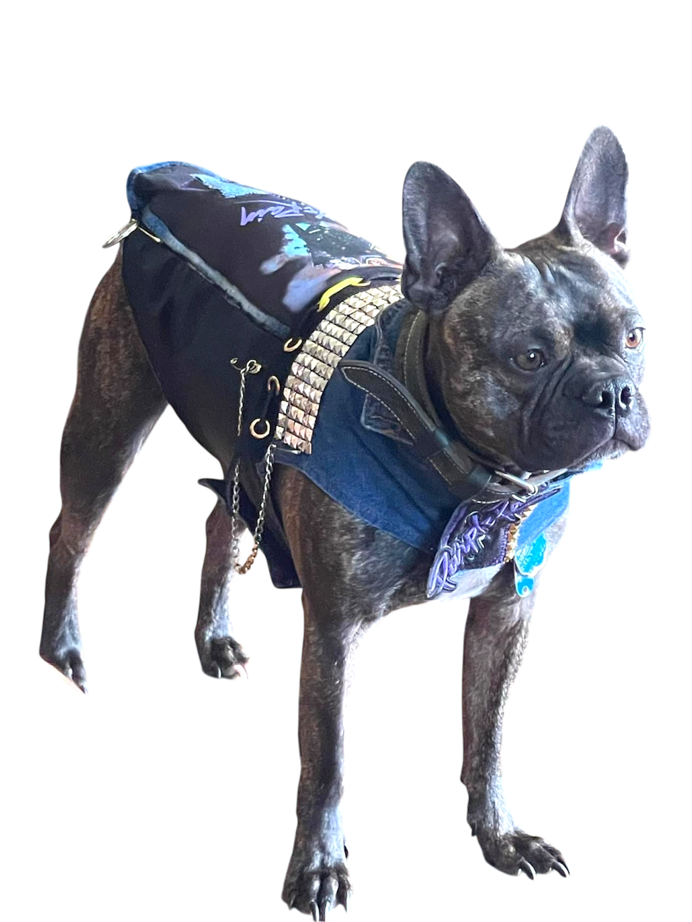 DENIM TOUR COLLECTION