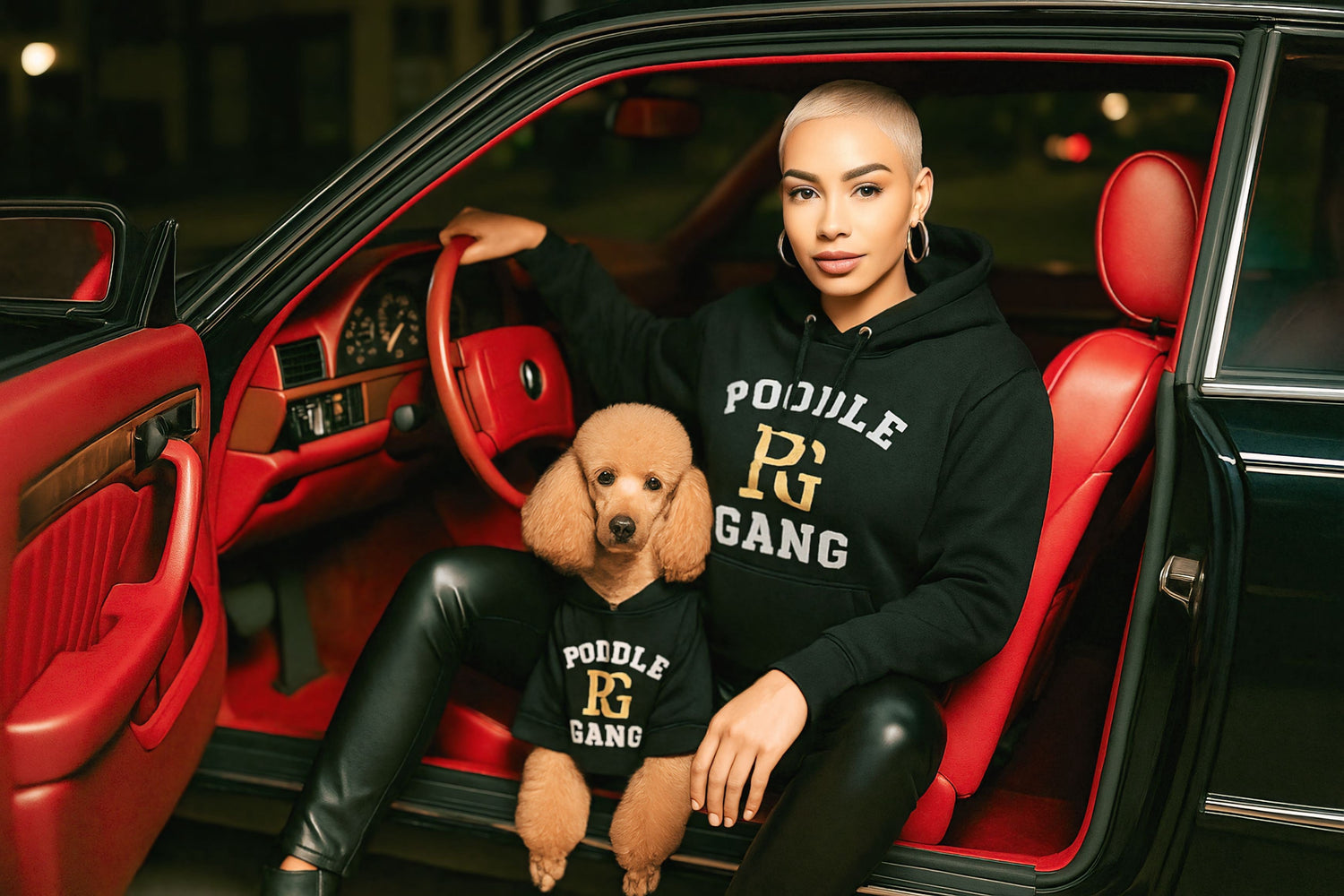 BREED GANG ADULT HOODIES UNIVERSITY
