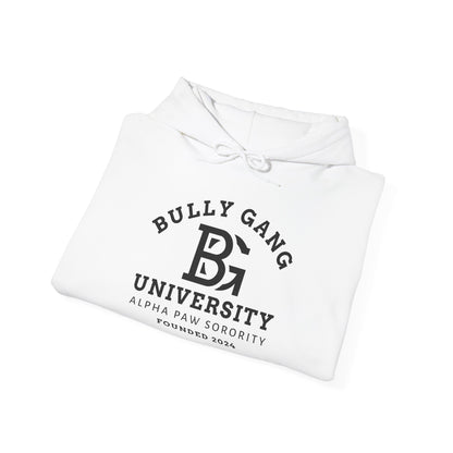 Bully Gang University