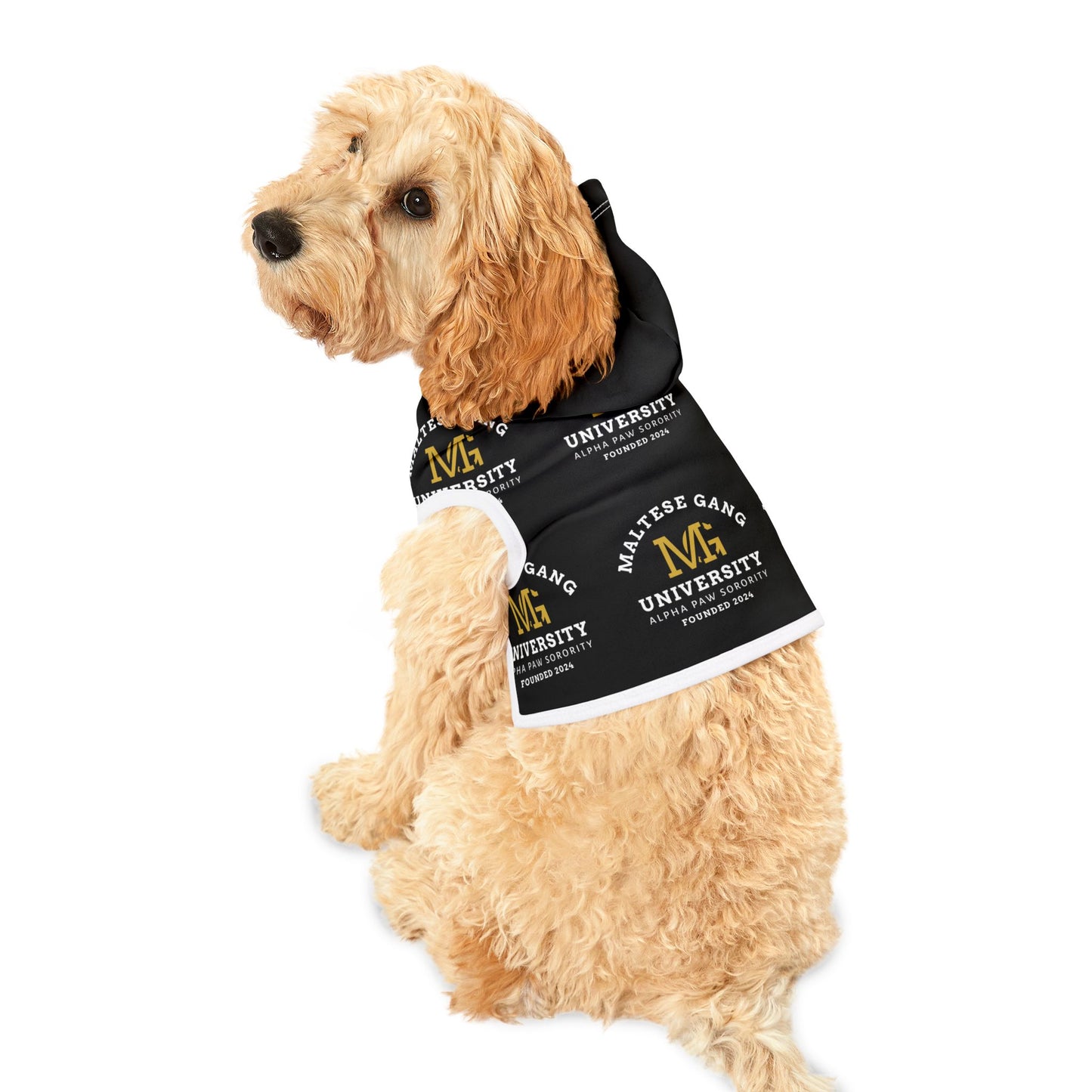Maltese Gang University Pet Hoodie – Black Collegiate Dog & Cat Hoodie