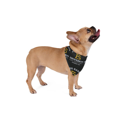Pug Gang University Pet Bandana — 'Pug Gang' Black Dog Bandana, Alpha Paw Sorority Design