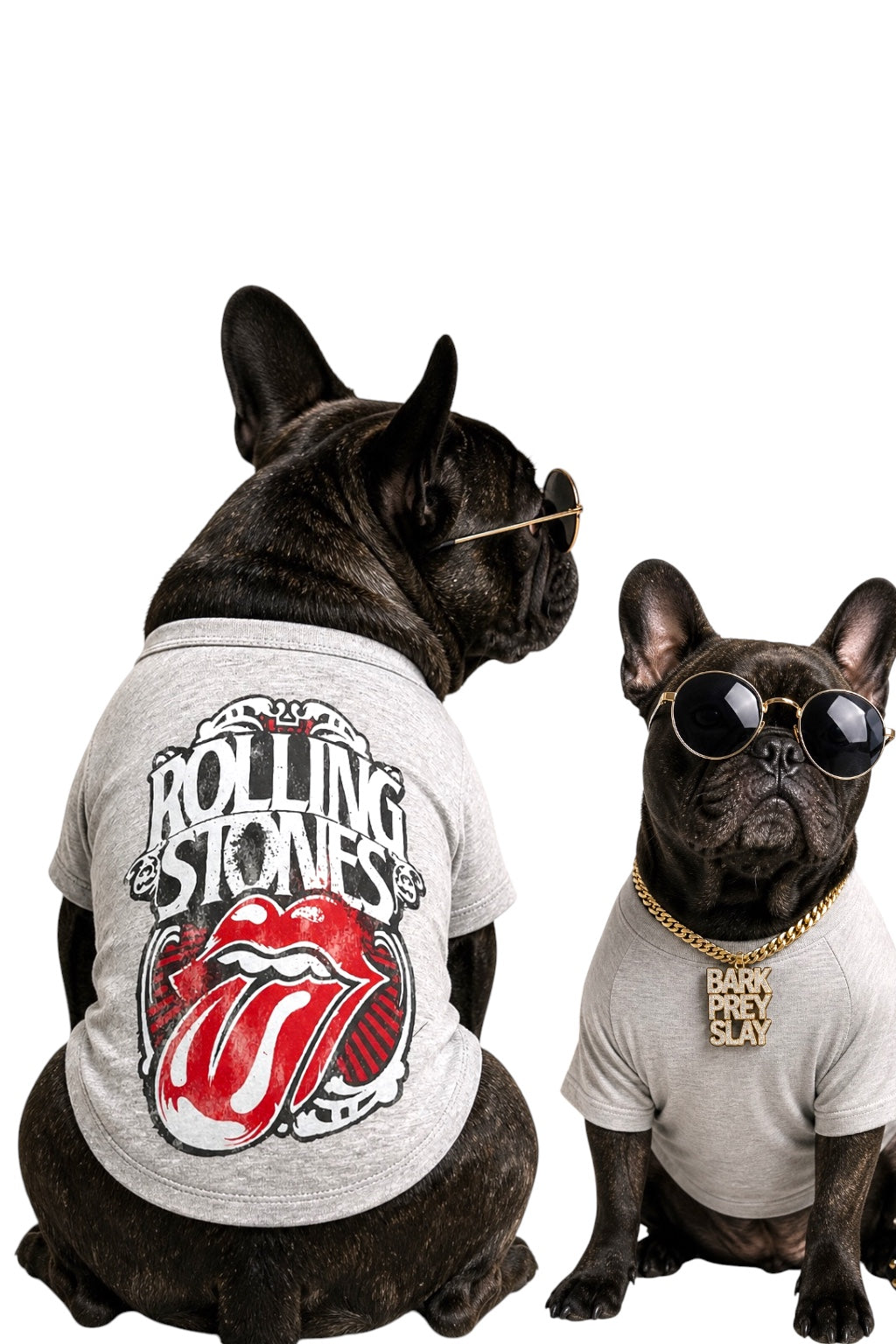Rock Star Pup Tee