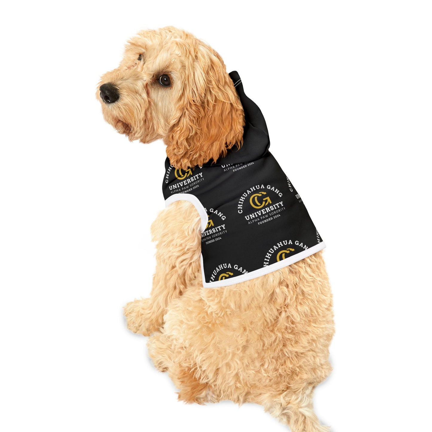 Chihuahua Gang University Pet Hoodie — Black Dog Hoodie with Logo Print