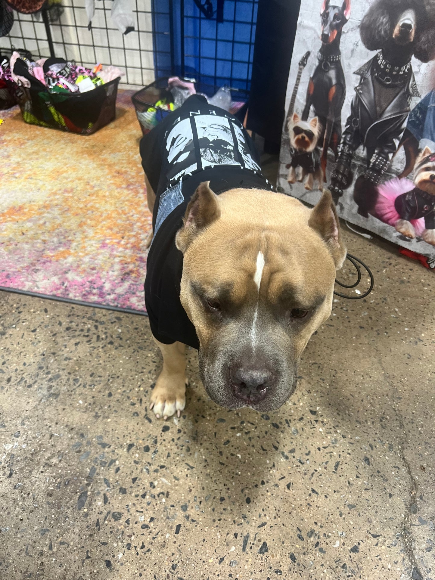 “Legend Has It Polo”