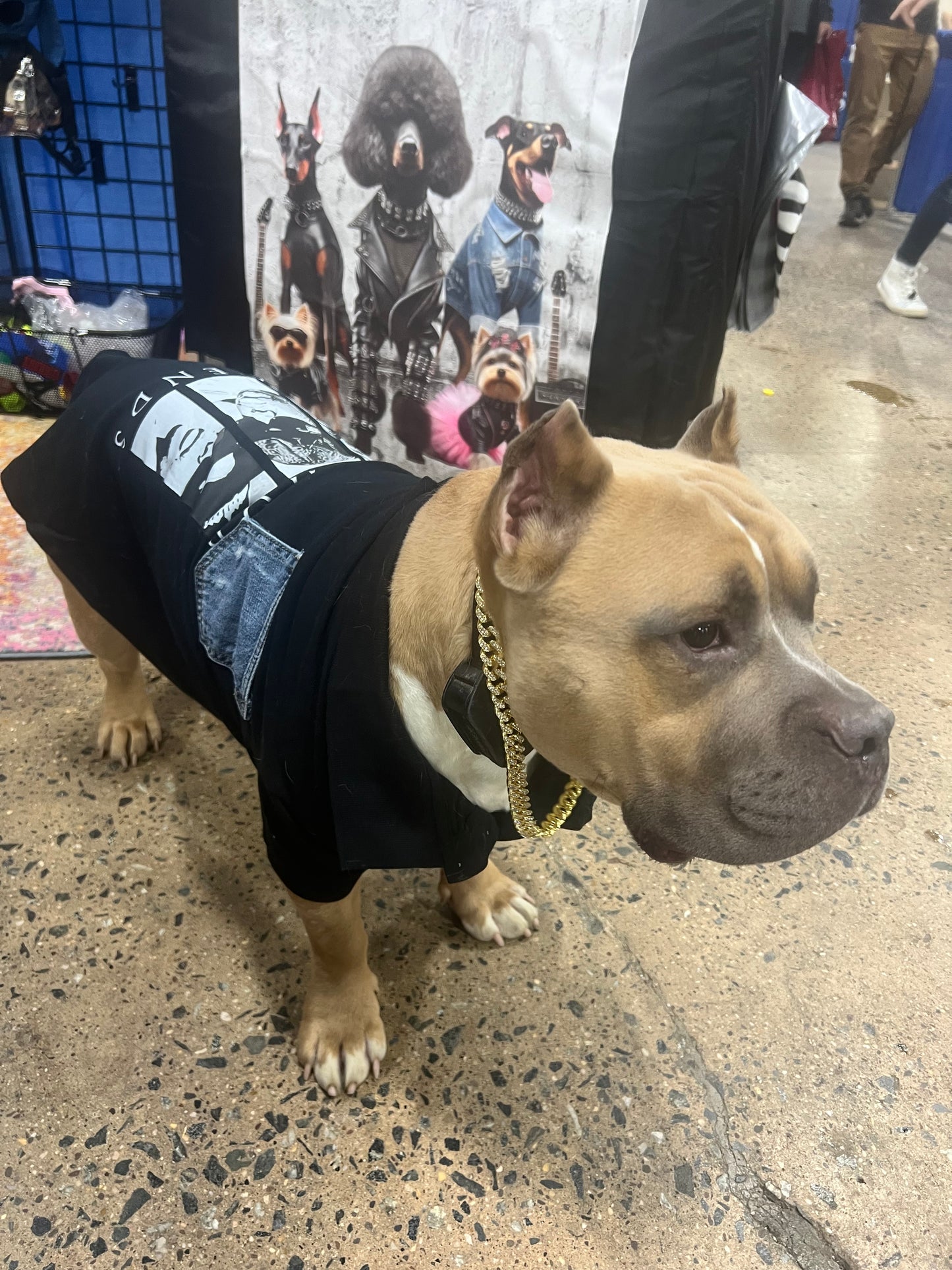 “Legend Has It Polo”