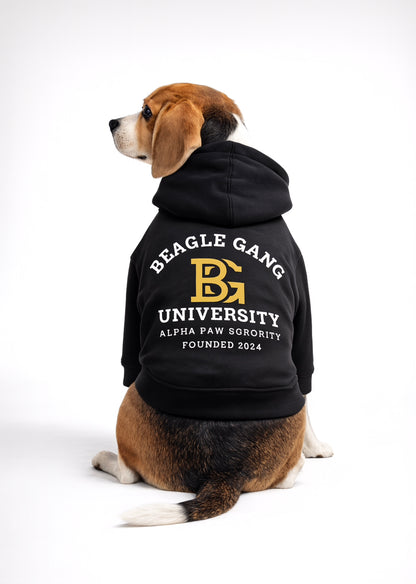 BEAGLE GANG UNIVERSITY
