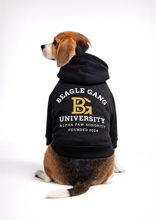 BEAGLE GANG UNIVERSITY