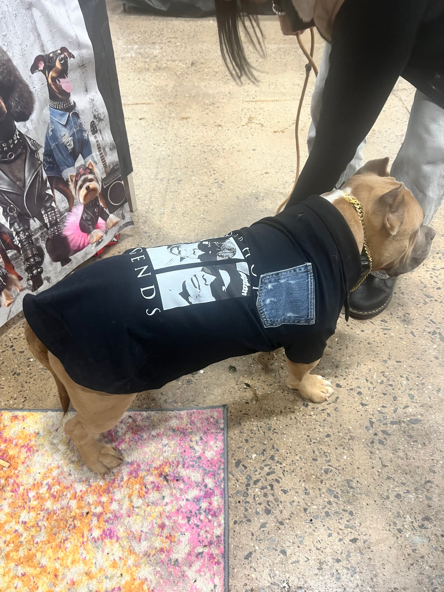 “Legend Has It Polo”