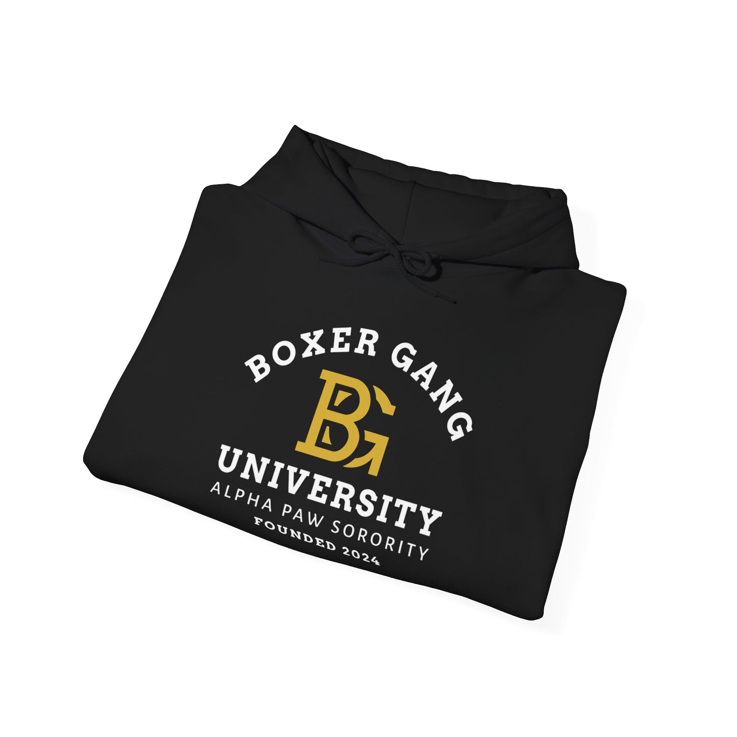 BOXER GANG UNIVERSITY