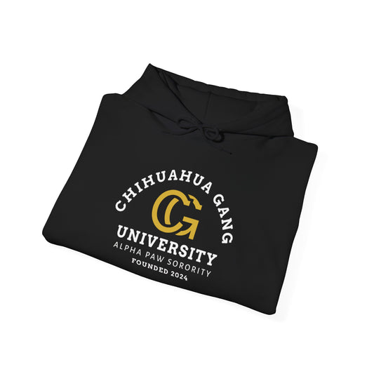 Chihuahua Gang University Pullover Hoodie