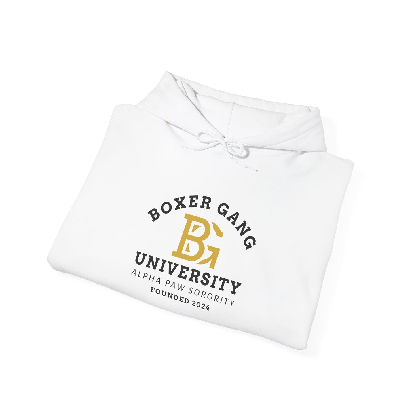 BOXER GANG UNIVERSITY