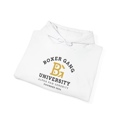 BOXER GANG UNIVERSITY